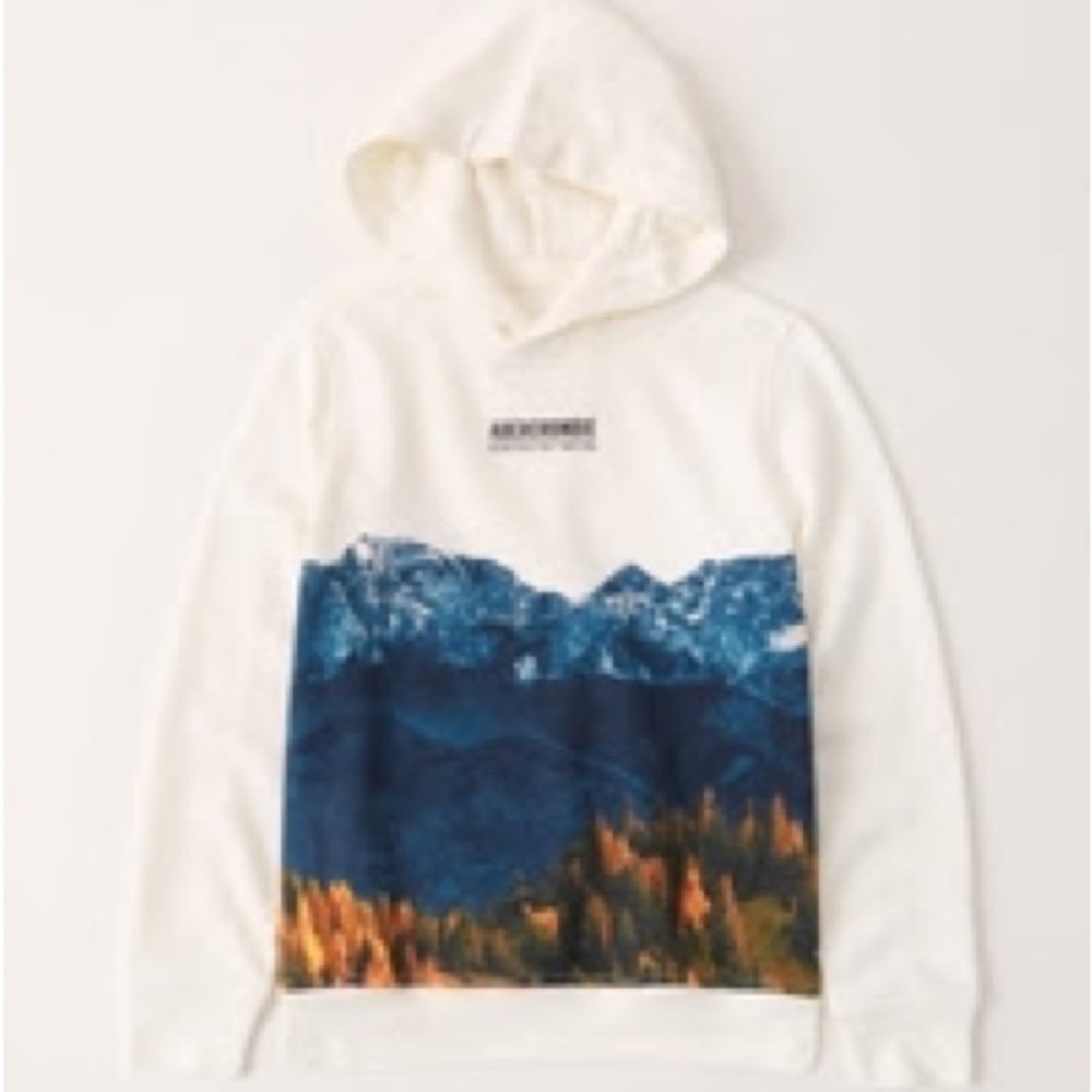 Abercrombie and Fitch Big Kid Graphic Hoodie Large 15-16 Year